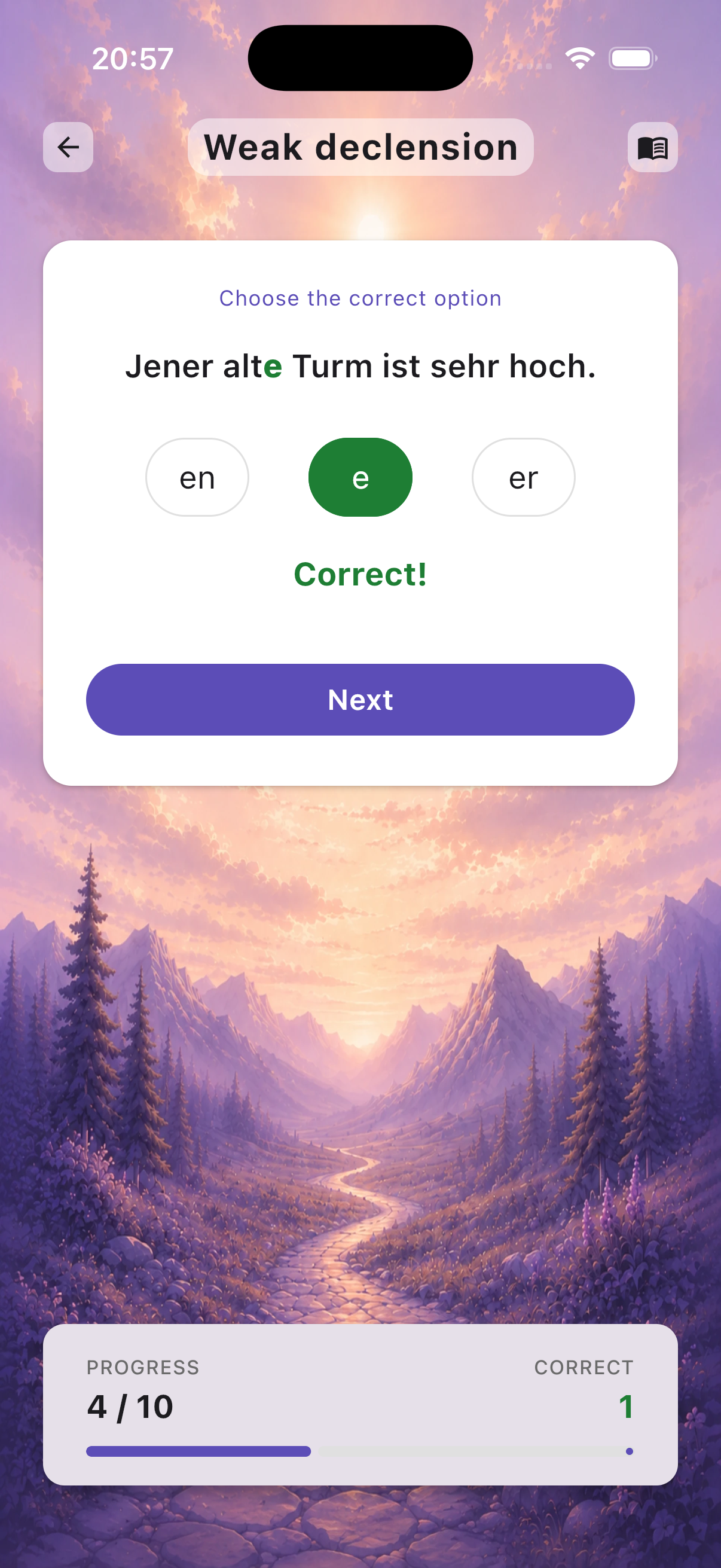 Adjective Endings quiz screen